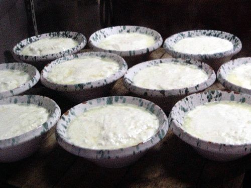 Indiscussa protagonista della pasticceria siciliana, la ricotta di pecora presente nei dolci di Natale
