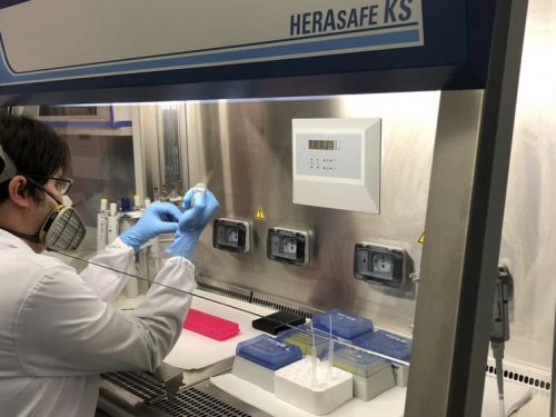 Coronavirus, secondo i ricercatori Unipa, la Sicilia fuori pericolo da metà aprile.