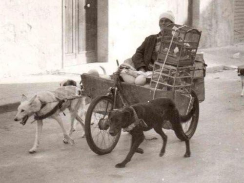 Cose e personaggi d’altri tempi: “U runcu” uno dei personaggi del trapanese e altri
