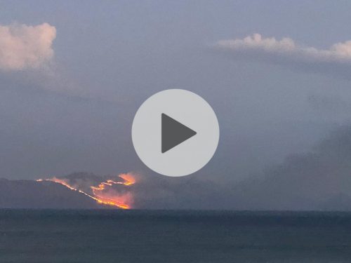 Inferno di fuoco tra Scopello e lo Zingaro. Devastato uno dei territori più belli della Sicilia