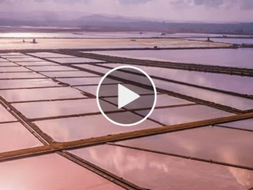 Le spettacolari immagini delle saline trapanesi incantano il web