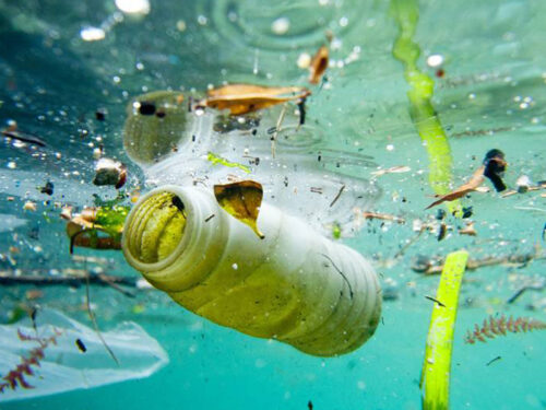 Cefalù dice no a plastica usa e getta: “cercheremo di farla diventare cultura di comunità”