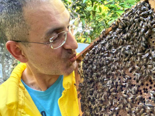Andrea, il Marsalese affetto da sclerosi multipla che cura i dolori della malattia con il veleno d’api
